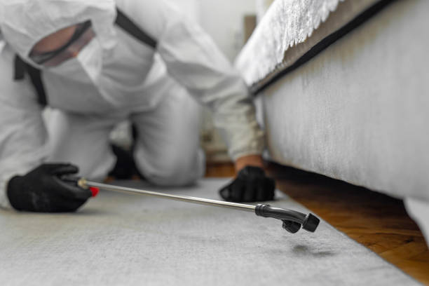 Professional Bed Bug Control technician working in Washburn, ND