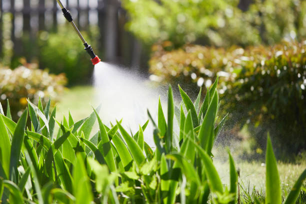 24/7 Emergency Bed Bug Control experts in Washburn, ND